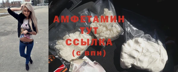 ПСИЛОЦИБИНОВЫЕ ГРИБЫ Калининец