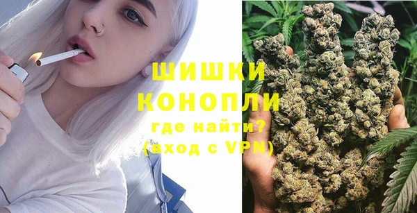 ПСИЛОЦИБИНОВЫЕ ГРИБЫ Калининец