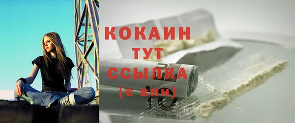 ПСИЛОЦИБИНОВЫЕ ГРИБЫ Калининец
