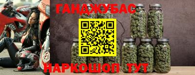 прущие грибы Азнакаево