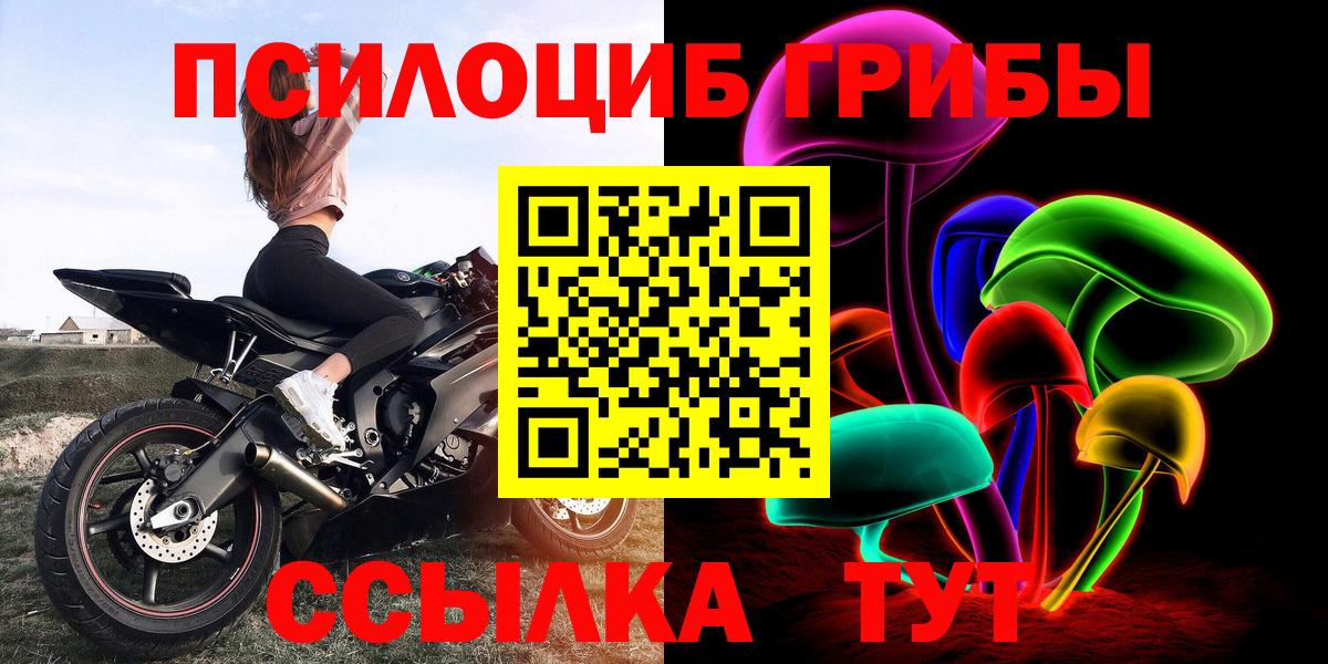 Псилоцибиновые грибы Cubensis  Псилоцибиновые грибы прущие грибы  Вход с VPN  Александров 