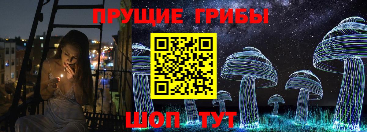 Галлюциногенные грибы Psilocybe Александров