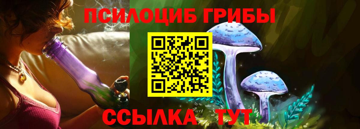 Псилоцибиновые грибы ЛСД Александров